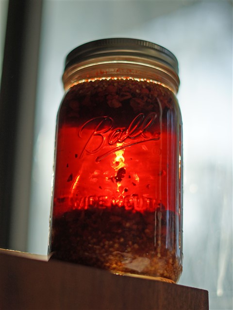 xr sauce austin modhouse 