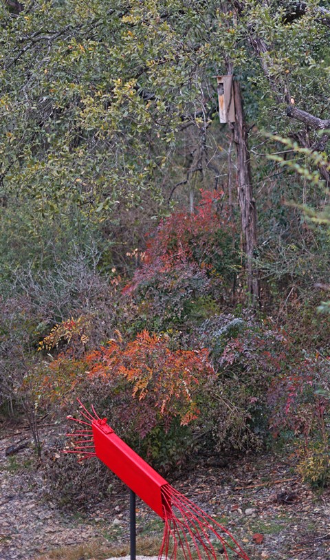 Hooter in his Owlbox not caring about the sleet