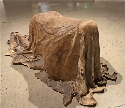Janine Antoni  at contemporary art jones center austin