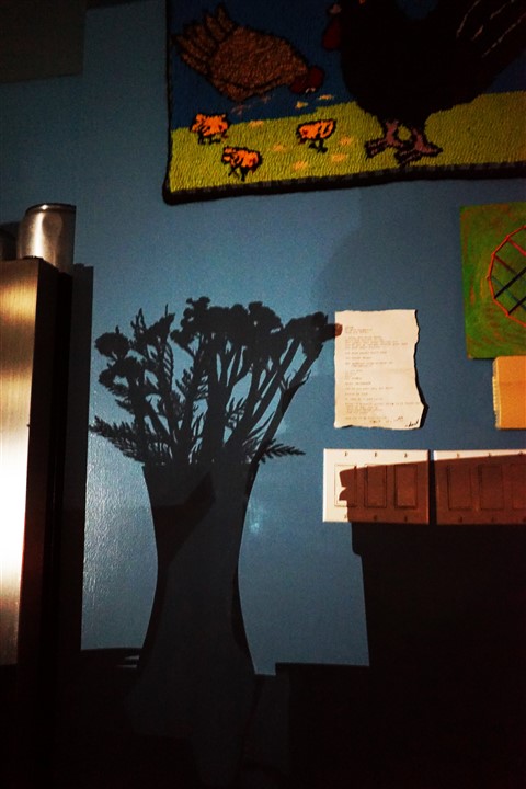 shadowplay accidental art 