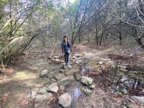 wild basin preserve creek austin wetlake hiking