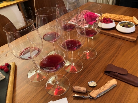 riedel burgundy wine glass dinner