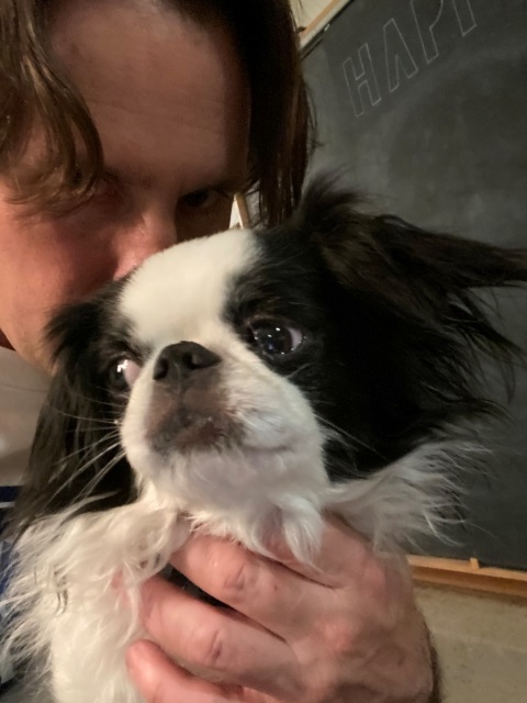 #gojithejapanesechin #gojira 