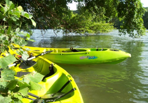 red bud island taxi 