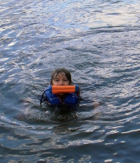 fetch at red bud island dog park fetch at red bud island dog park