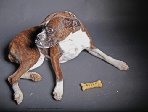 fourth of july fourth of july