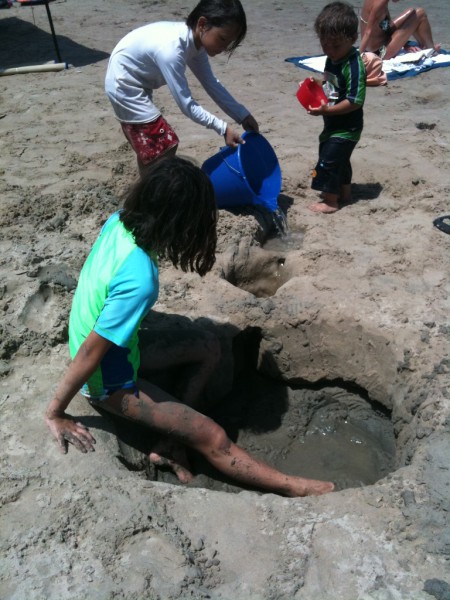 soil sample along gulf of mexico beach
