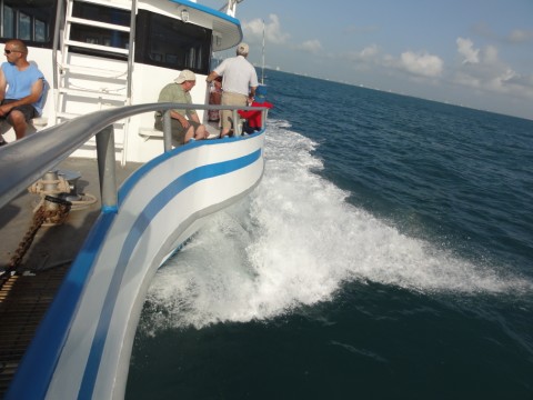 osprey heading out to deep waters osprey heading out to deep waters