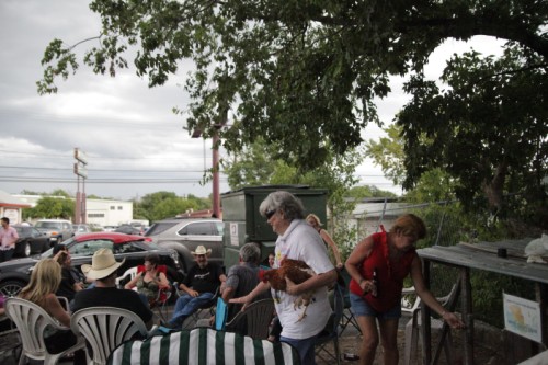 ginny gets henny and penny the chickens for chicken shit bingo austin