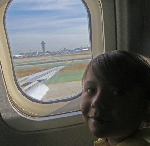 lax terminal from inside airplane