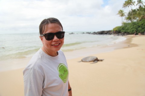 north shore hawaii sea turtle