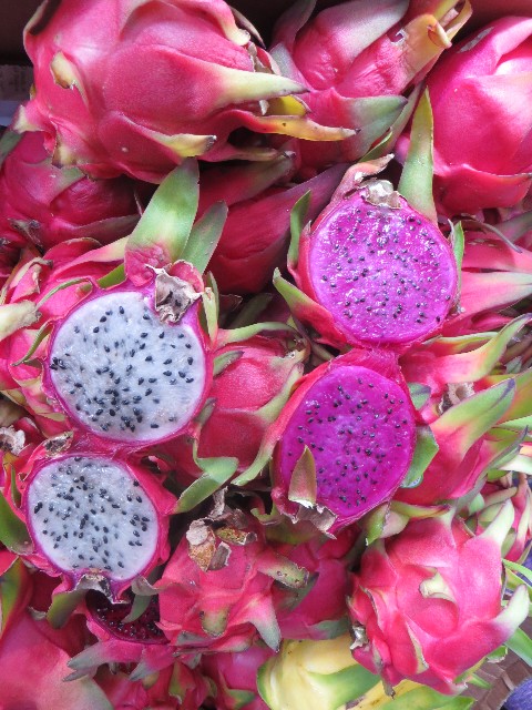 dragon fruit kona hawaii