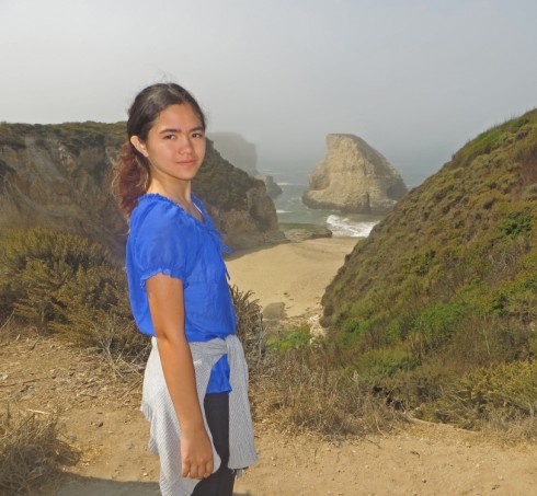 sharkstooth beach near davenport ca