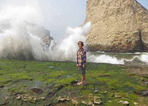 heavy surf sharks tooth beach norcal