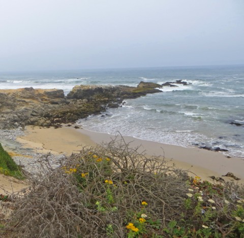 pescadero state beach