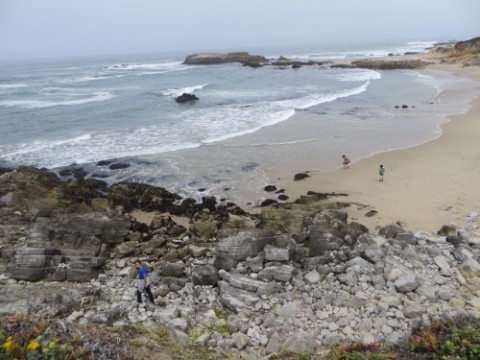 pescadero state beach