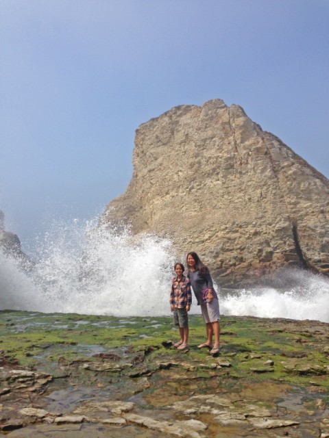sharks tooth beach pch 1 hwy1