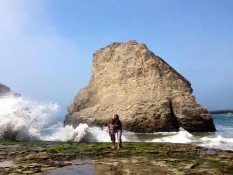 shark tooth cove davenport santa cruz