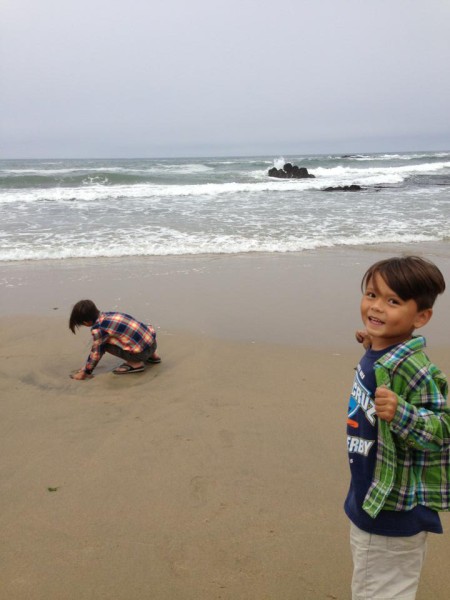 Pescadero state beach ca