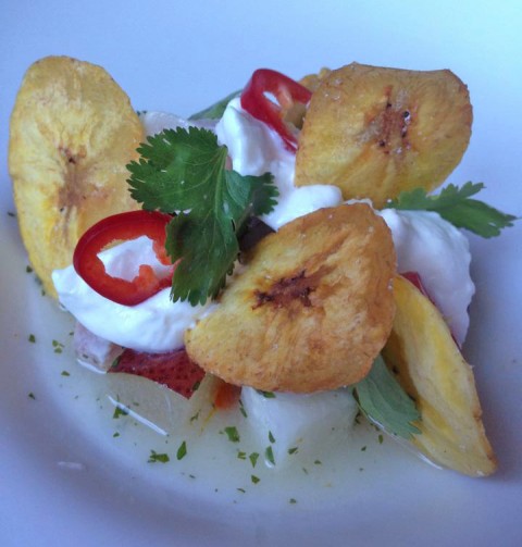 bar congress austin hamachi ceviche