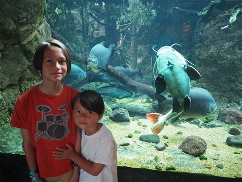 houston zoo aquarium
