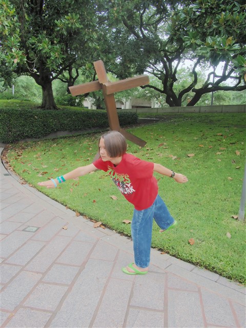 houston sculpture garden