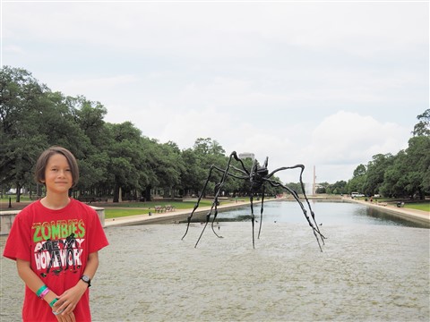 houston museum district reflecting pool