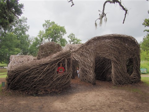 houston museum district