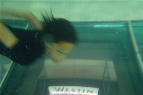 le westin montreal pool glass bottom