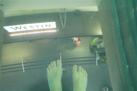 le westin montreal glass bottom pool 