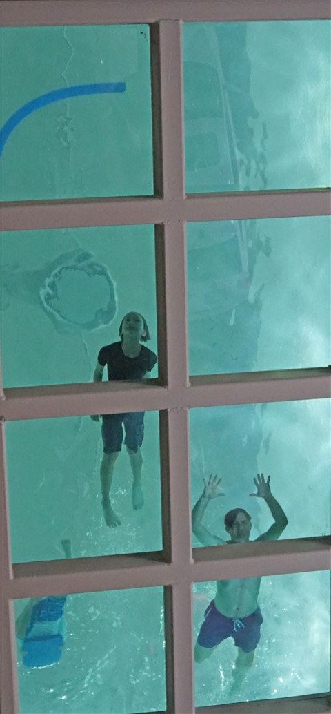 glass bottom pool montreal le westin