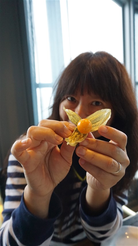 ground cherry quebec