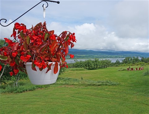 island of orleans quebec