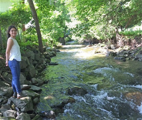 barton river NEK glover vt