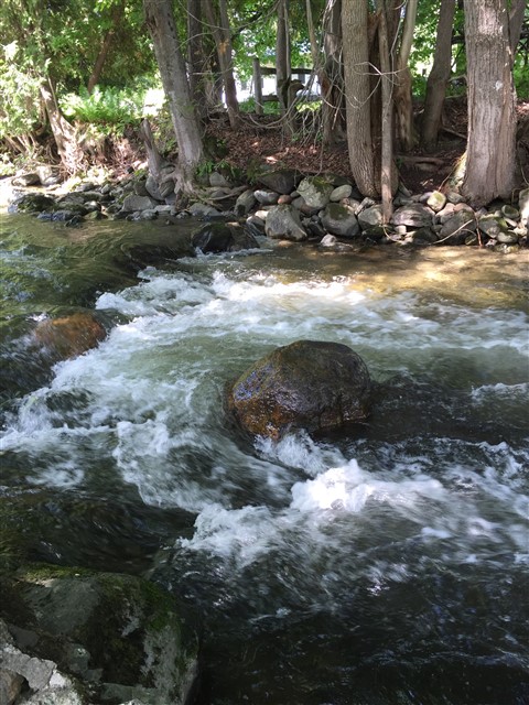 barton river glover vt NEK