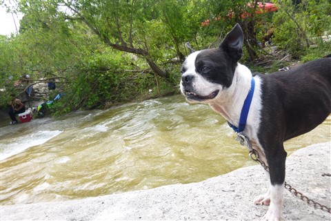 trash on the shores of bull creek austin, tx