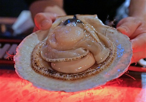 live scallop susho chinatown westlake 