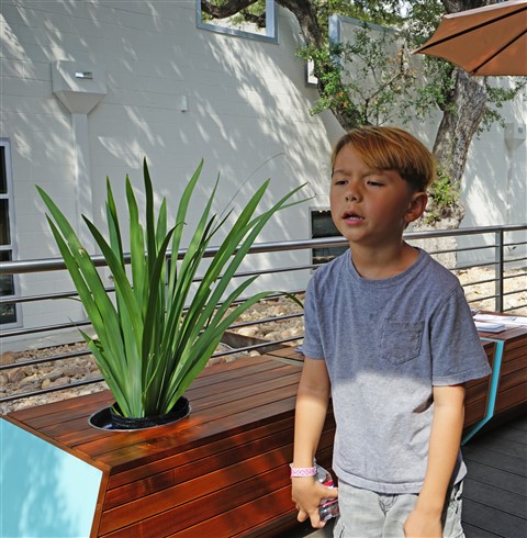 summer heat brain melt