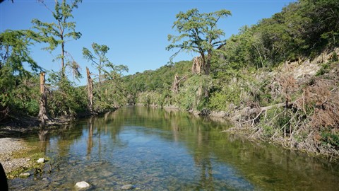 blanco river rapids fischer wimberley