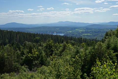 barr hill view vermont
