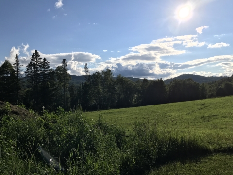 view from red barn brewing danville vermont 
