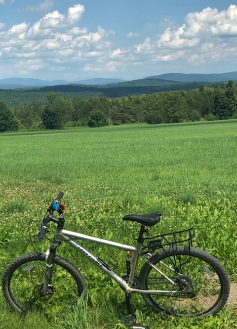 lvrt danville vermont gary fisher vt