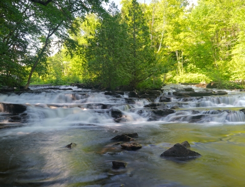 waterfall joes brook w. danville vt