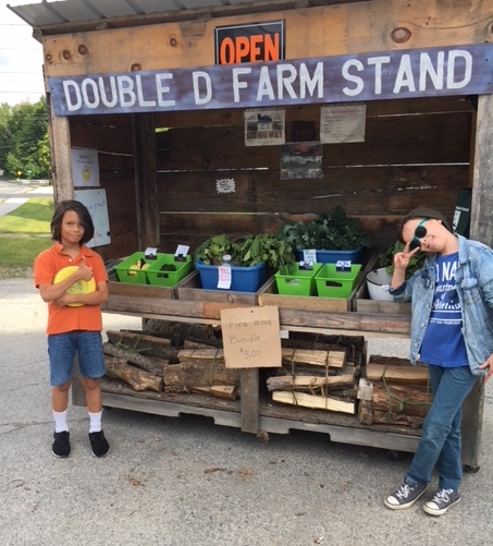 double d farmstand hardwick vermont vt farm to table 