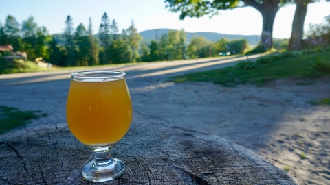 iris neipa red barn brewing west danville vermont craft beer vt 