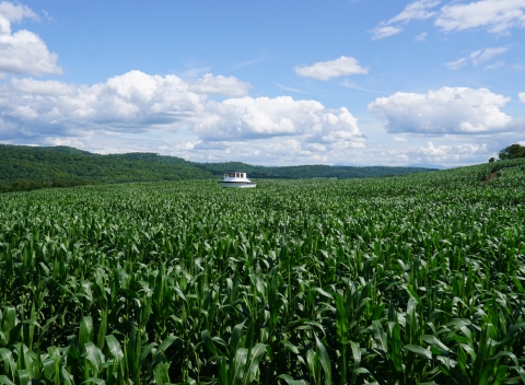 danville vt boat cornfield great vermont corn maze 2018