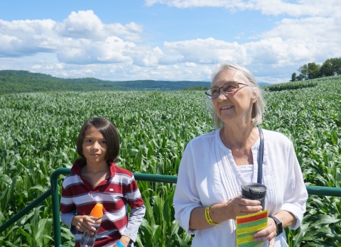 corn maze nek vt danville