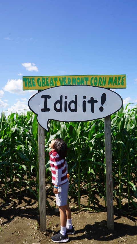 great vermont corn maze 2018 success