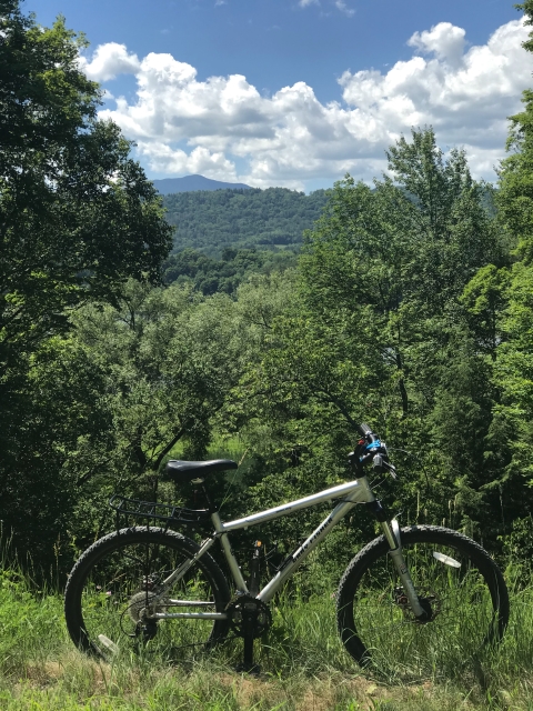 gary fisher mtb lvrt vermont
