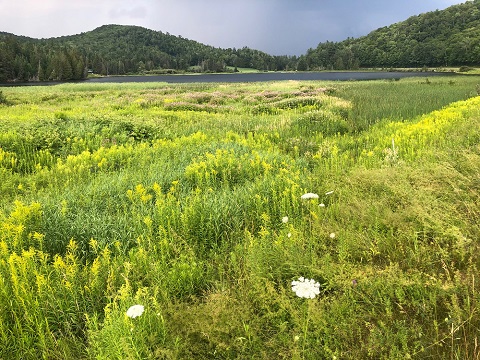 clark's pond nek vt glover vermont clarks 